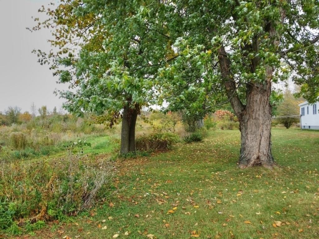 477 Newton Road Brandon, VT 05733 - Photo 20 of 31