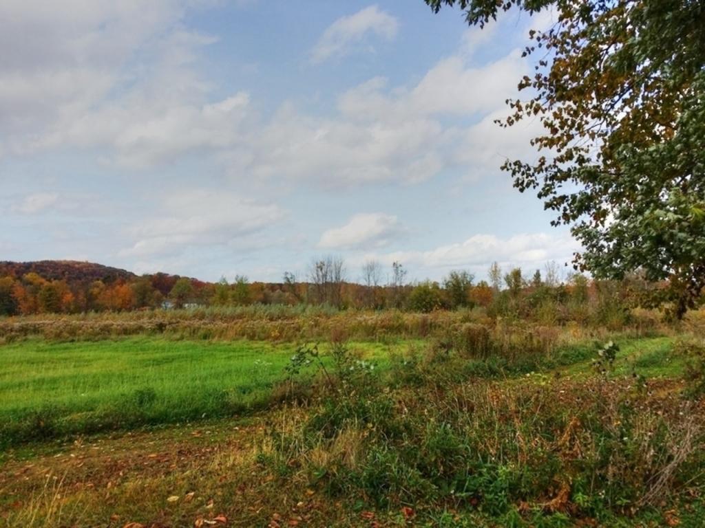 477 Newton Road Brandon, VT 05733 - Photo 26 of 31