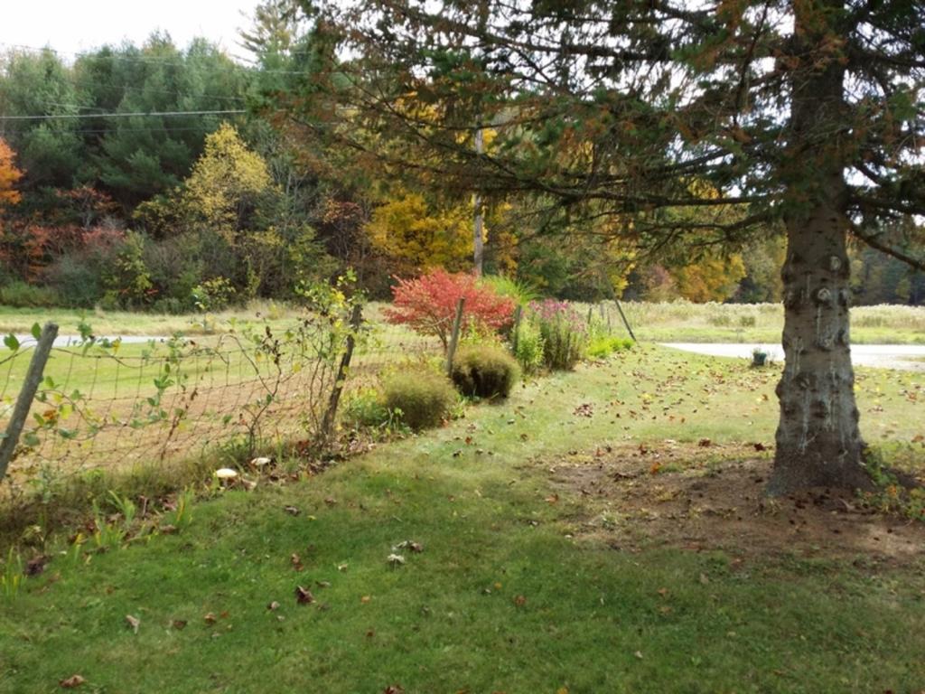 477 Newton Road Brandon, VT 05733 - Photo 27 of 31