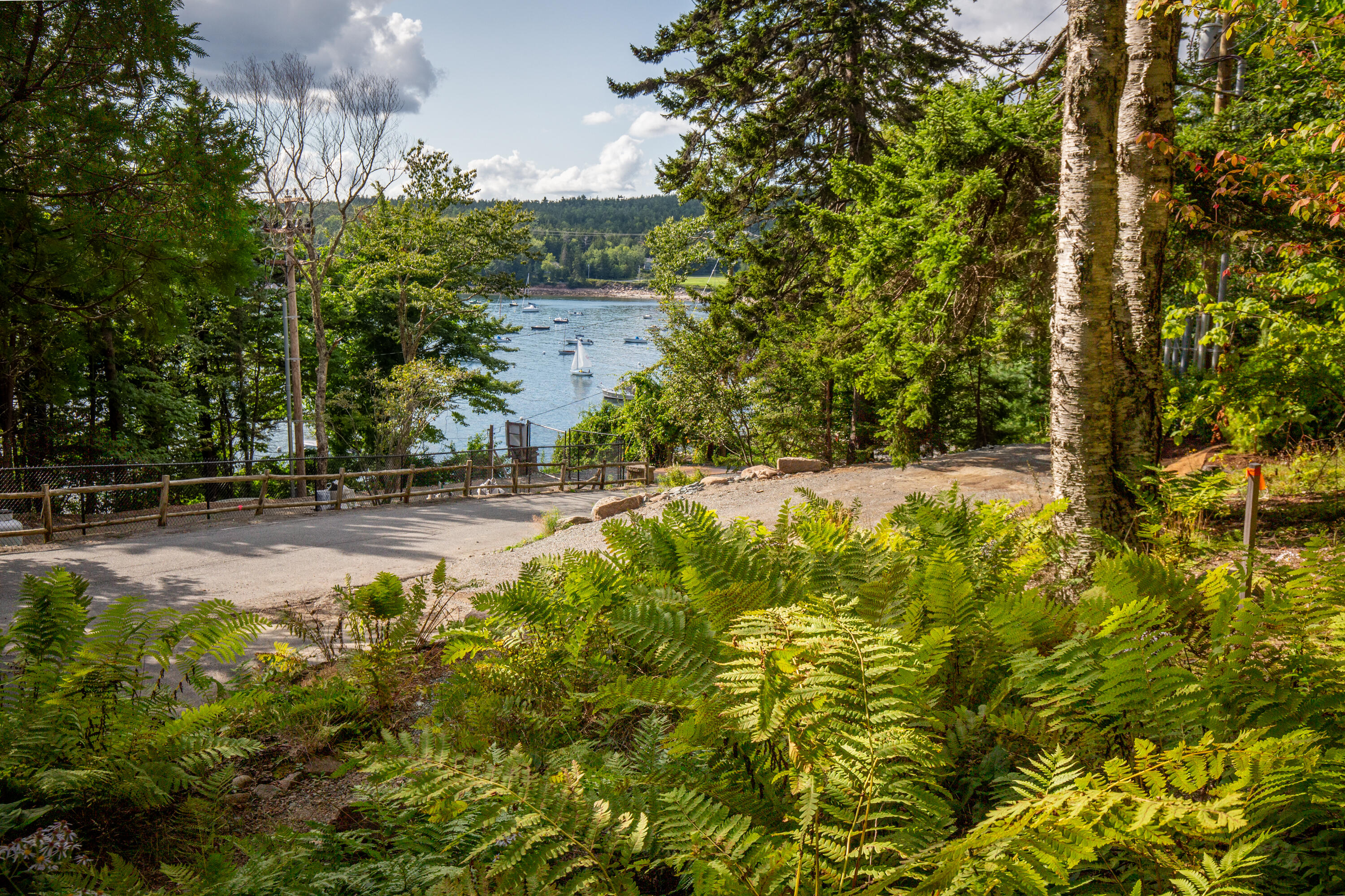 40 Steam Boat Wharf Road Mount Desert, ME 04675 - Photo 5 of 26 41-40SteamboatWharf-SealHarbor-KS