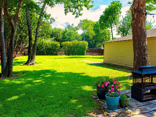 a view of a flower in a garden