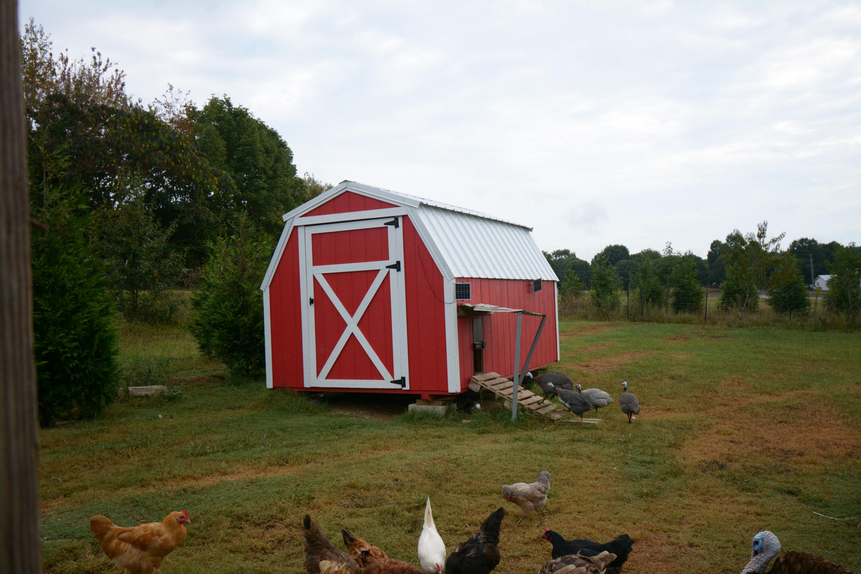 18 Aderholt Road Bronston, KY 42518 - Photo 5 of 30 .