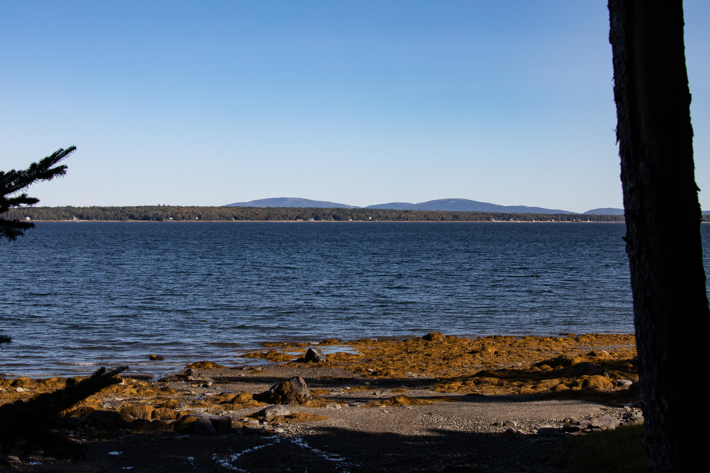 79 Carter Farm Road Surry, ME 04684 - Photo 14 of 14 184A0059