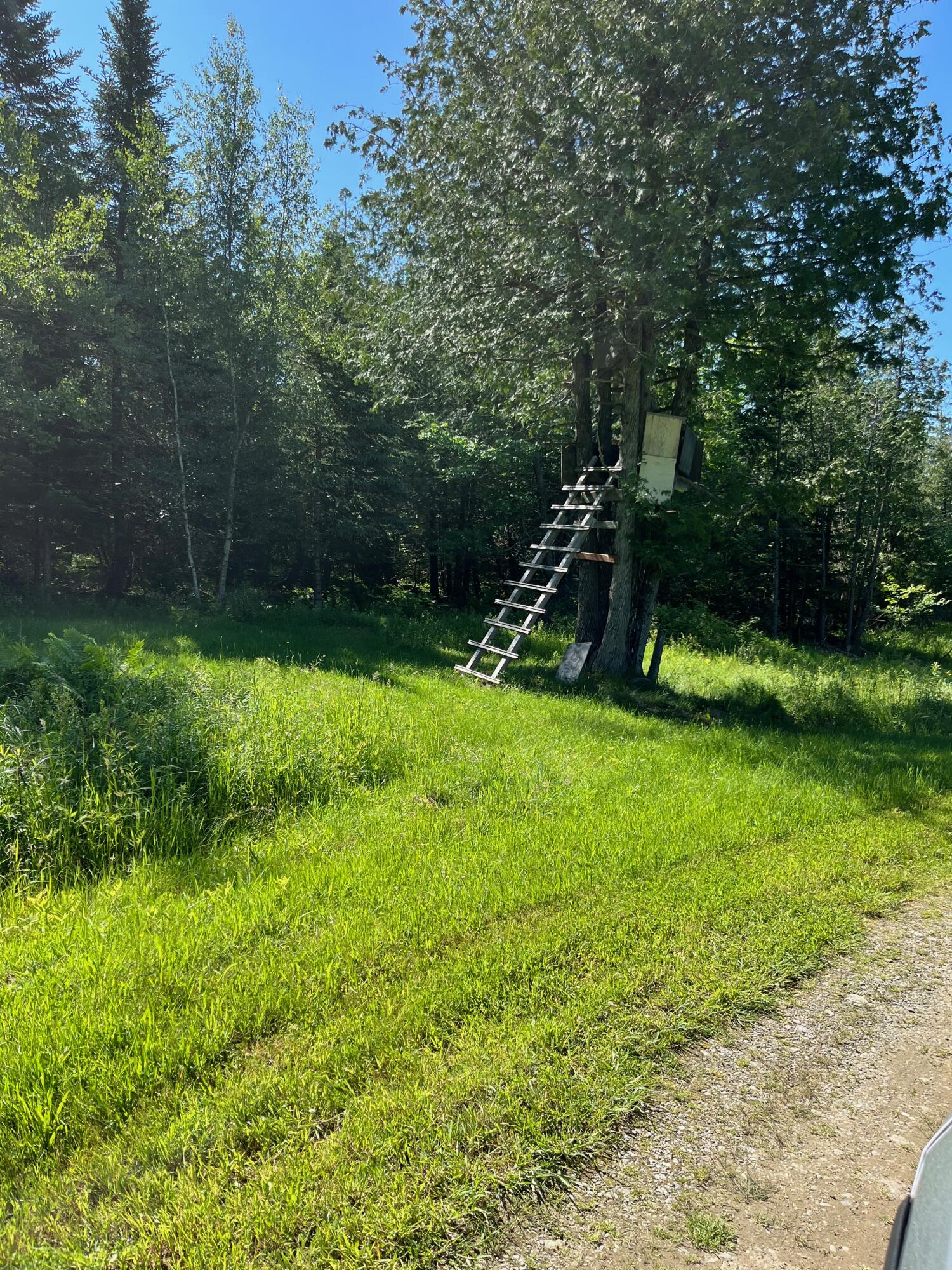 185 Durham Bridge Road Newport, ME 04953 - Photo 53 of 116 Hunting stand...