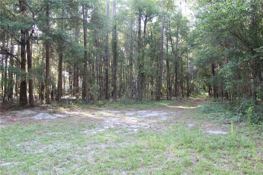 15821 Redbird Road Archer, FL 32618 - Photo 4 of 22
