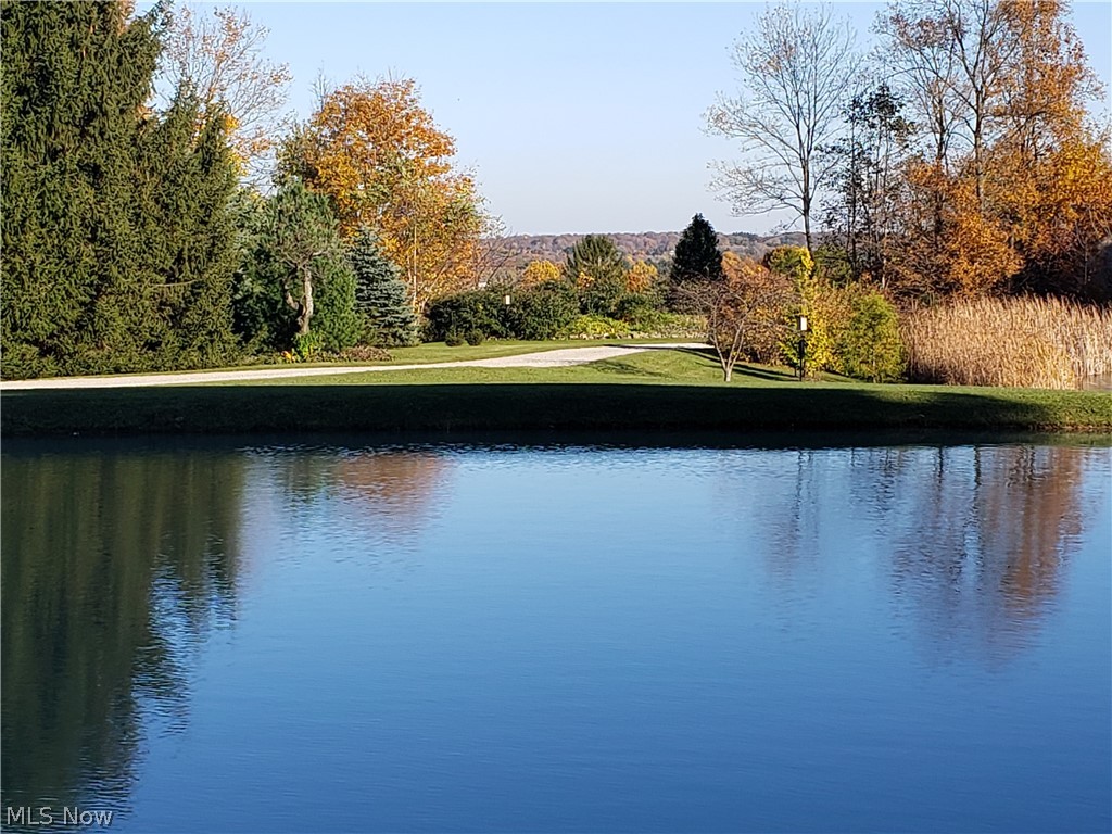 11297 Bean Road Chardon, OH 44024 - Photo 28 of 35 Front pond