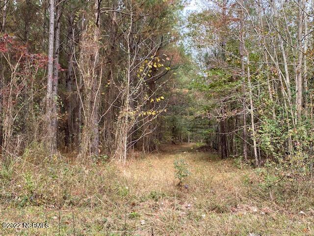 303 Jamestown Road Windsor, NC 27983 - Photo 11 of 13 IMG_3063