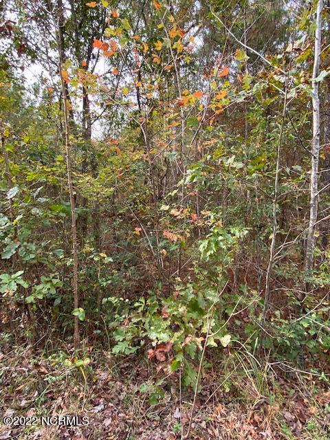 303 Jamestown Road Windsor, NC 27983 - Photo 3 of 13 IMG_3055