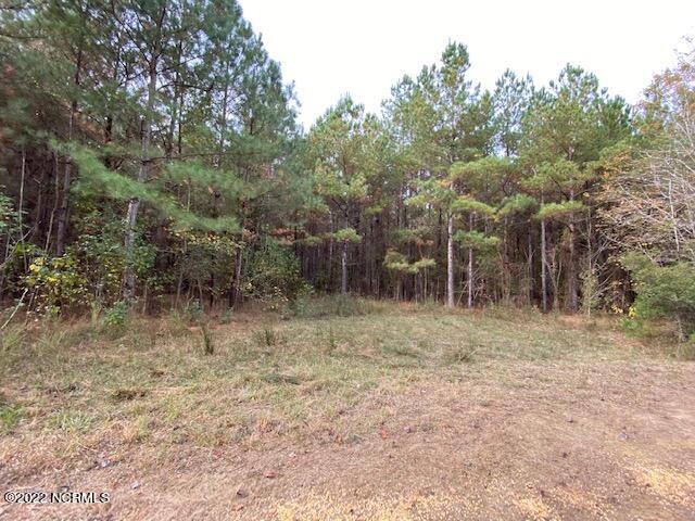 303 Jamestown Road Windsor, NC 27983 - Photo 7 of 13 IMG_3059