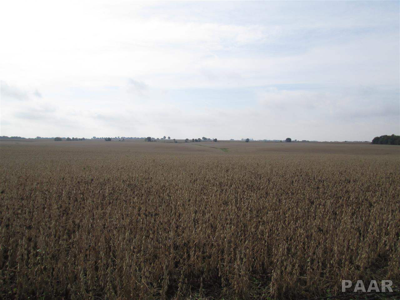 1 West Streitmatter Road Princeville, IL 61559 - Photo 1 of 1 Gallery Image 1