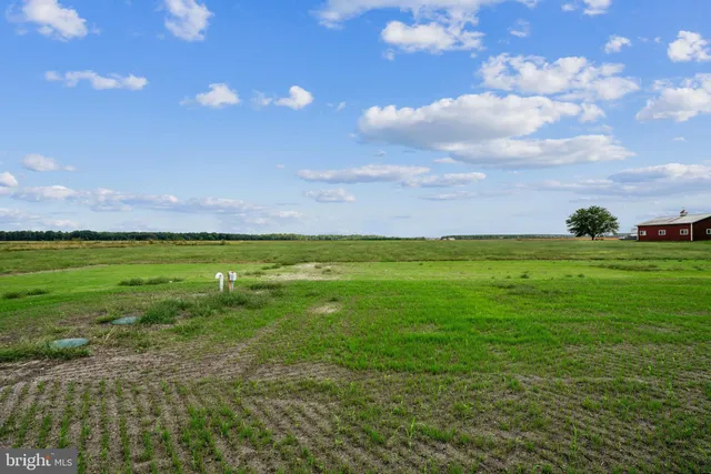 a view of an ocean and beach