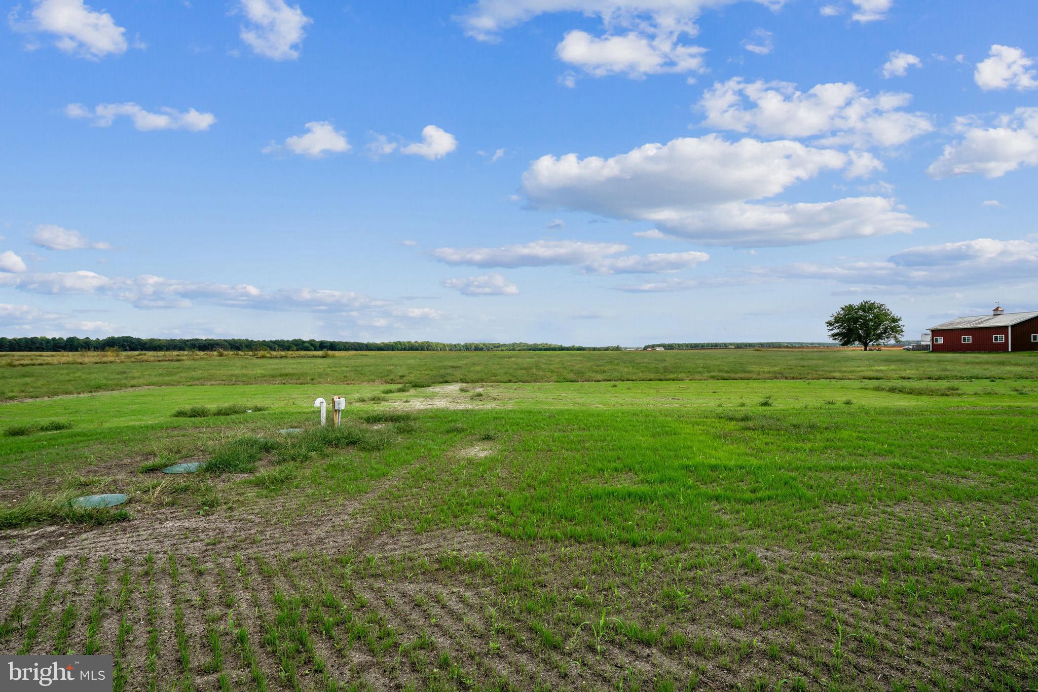 26571 Line Road Seaford, DE 19973 - Photo 5 of 30