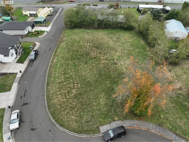 view of outdoor space and yard