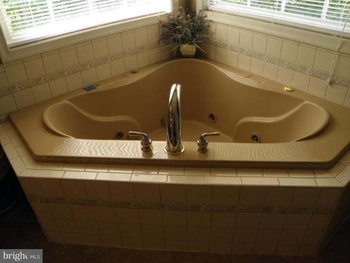 4386 True Blue Road Culpeper, VA 22701 - Photo 12 of 21 Master Bath