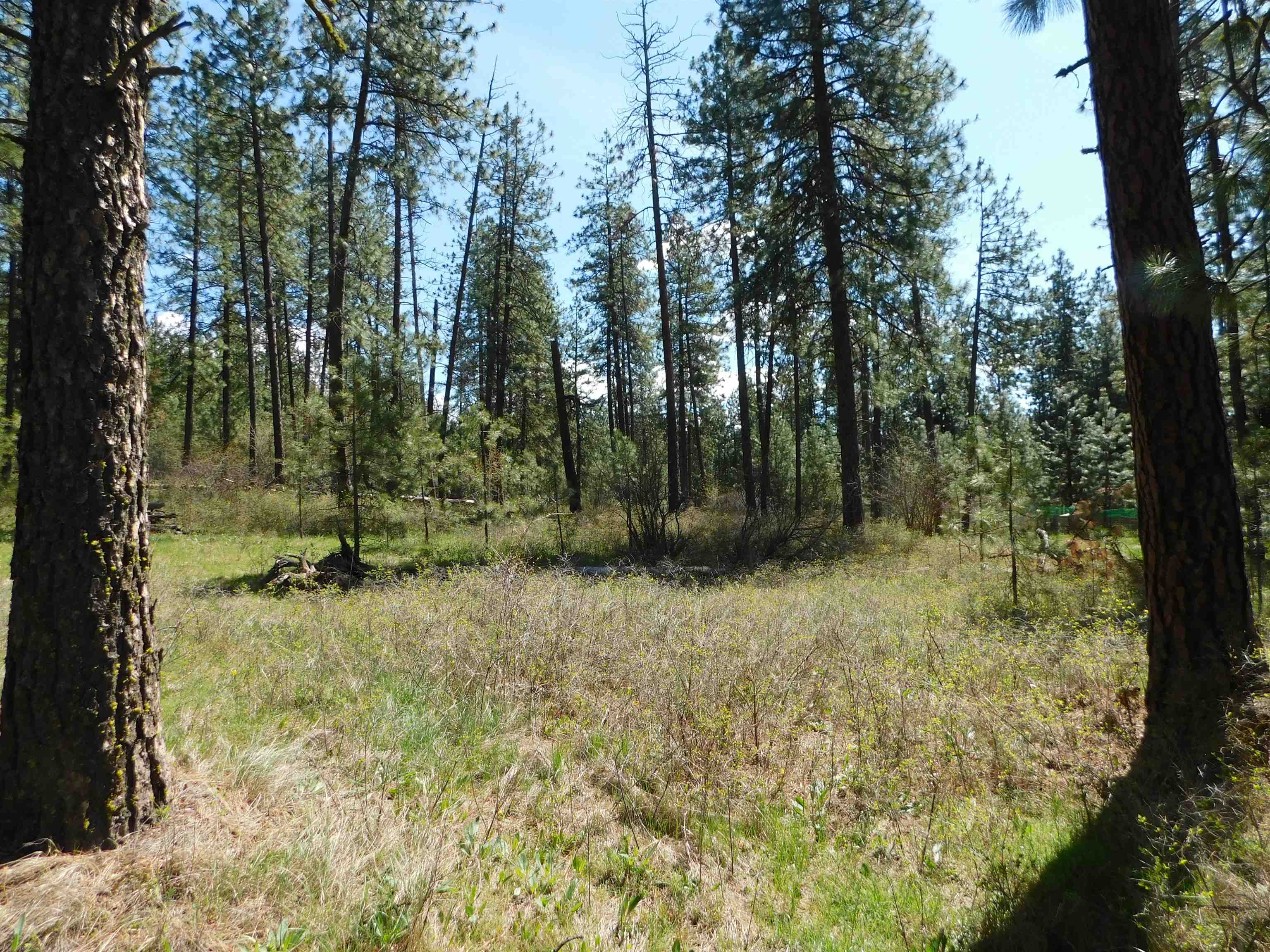 5481 South Swenson Road Deer Park, WA 99006 - Photo 11 of 14