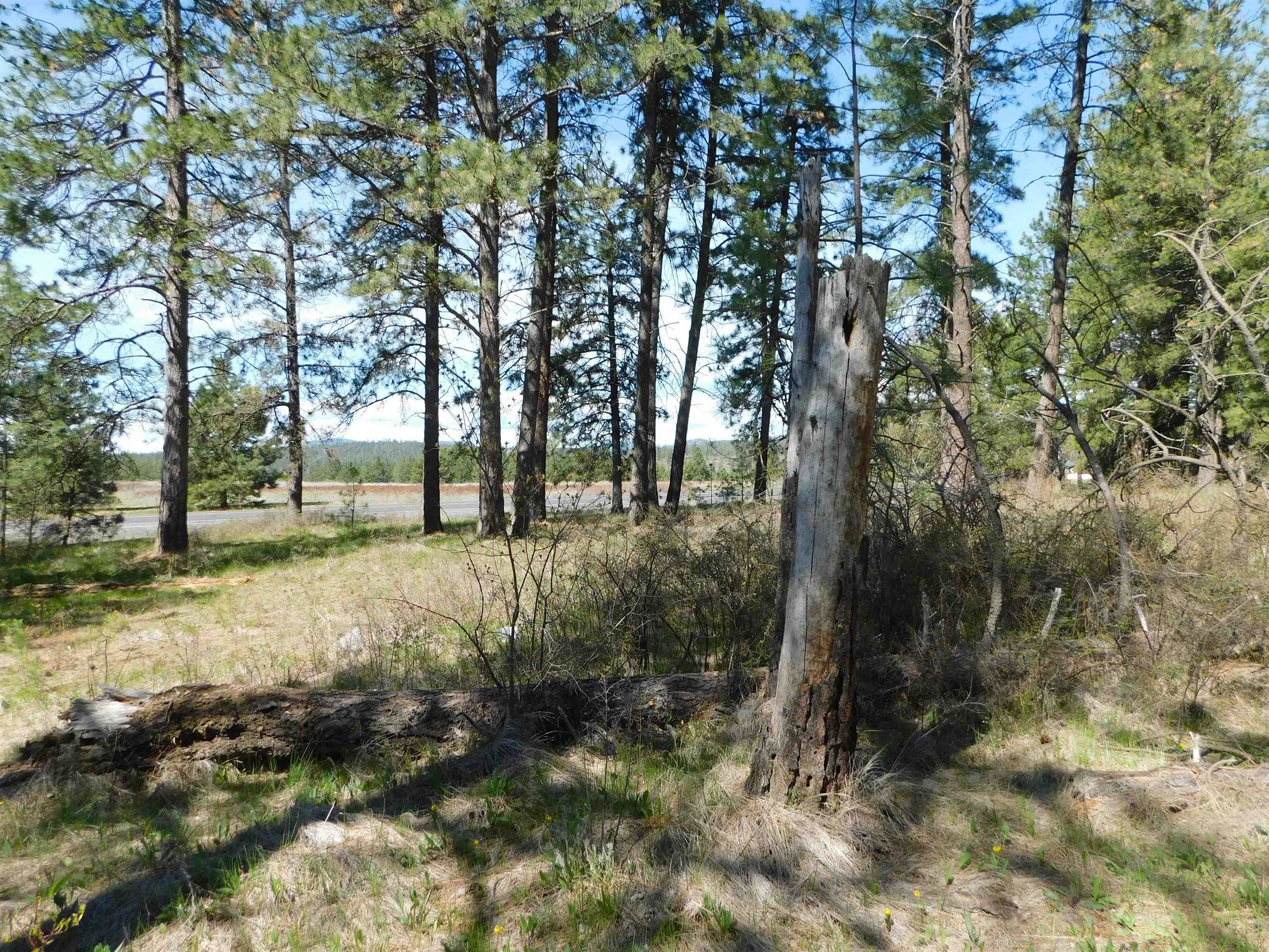 5481 South Swenson Road Deer Park, WA 99006 - Photo 12 of 14