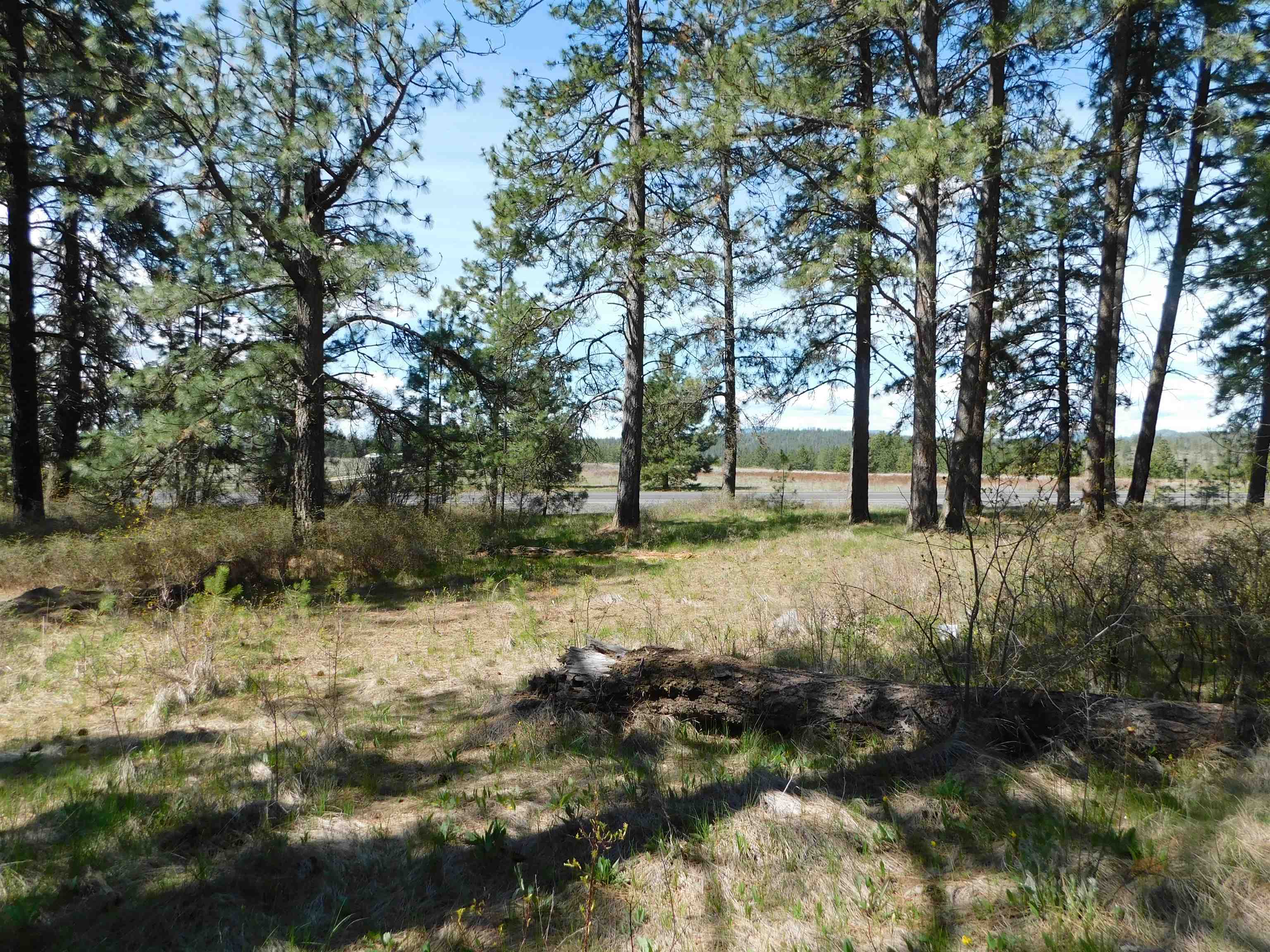 5481 South Swenson Road Deer Park, WA 99006 - Photo 13 of 14