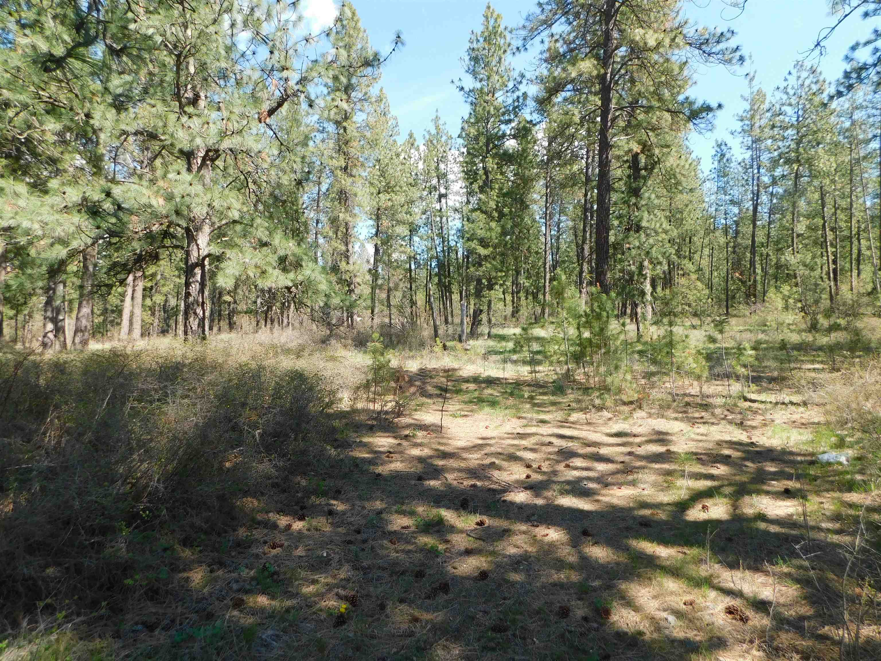 5481 South Swenson Road Deer Park, WA 99006 - Photo 14 of 14