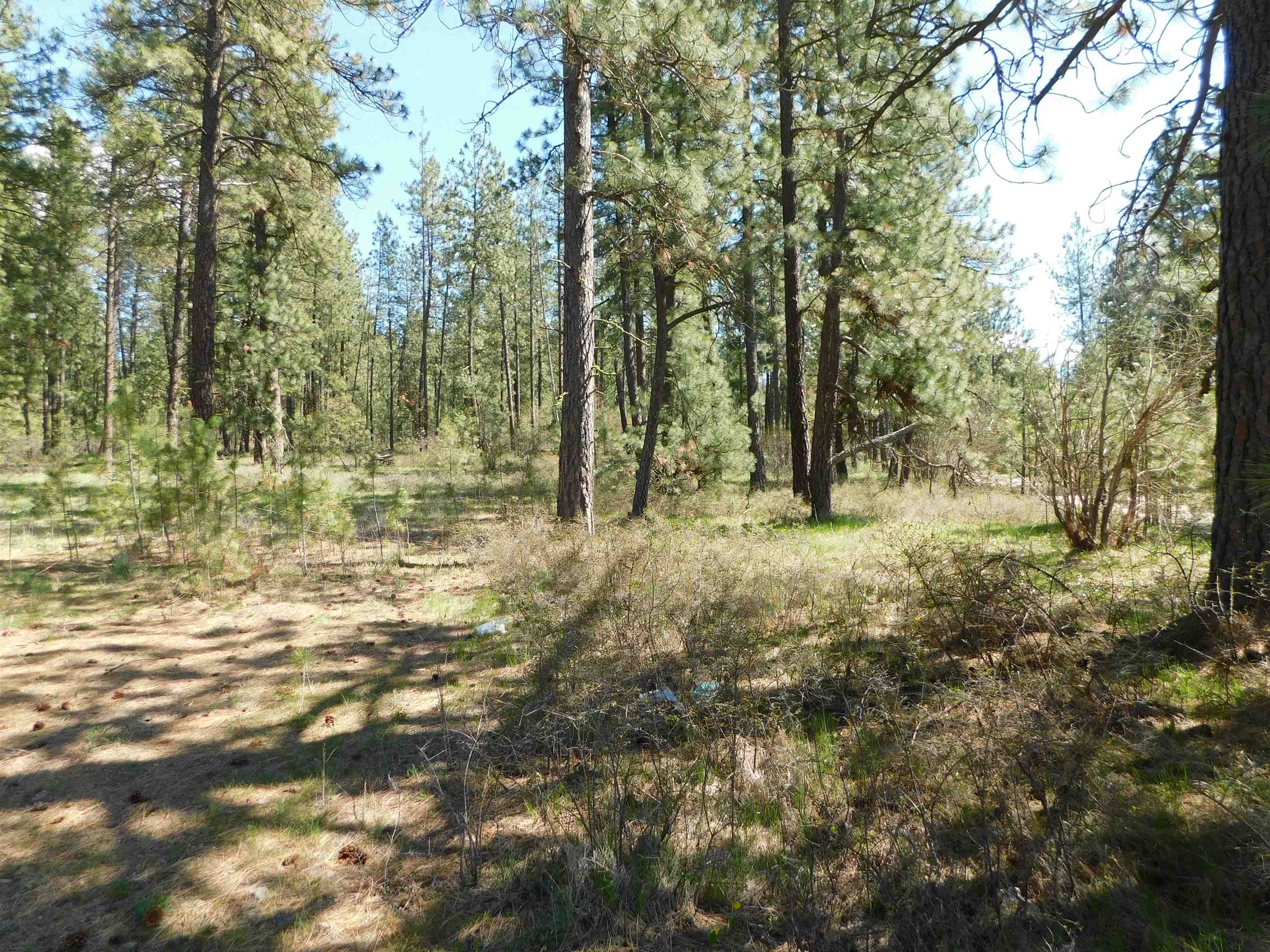 5481 South Swenson Road Deer Park, WA 99006 - Photo 2 of 14