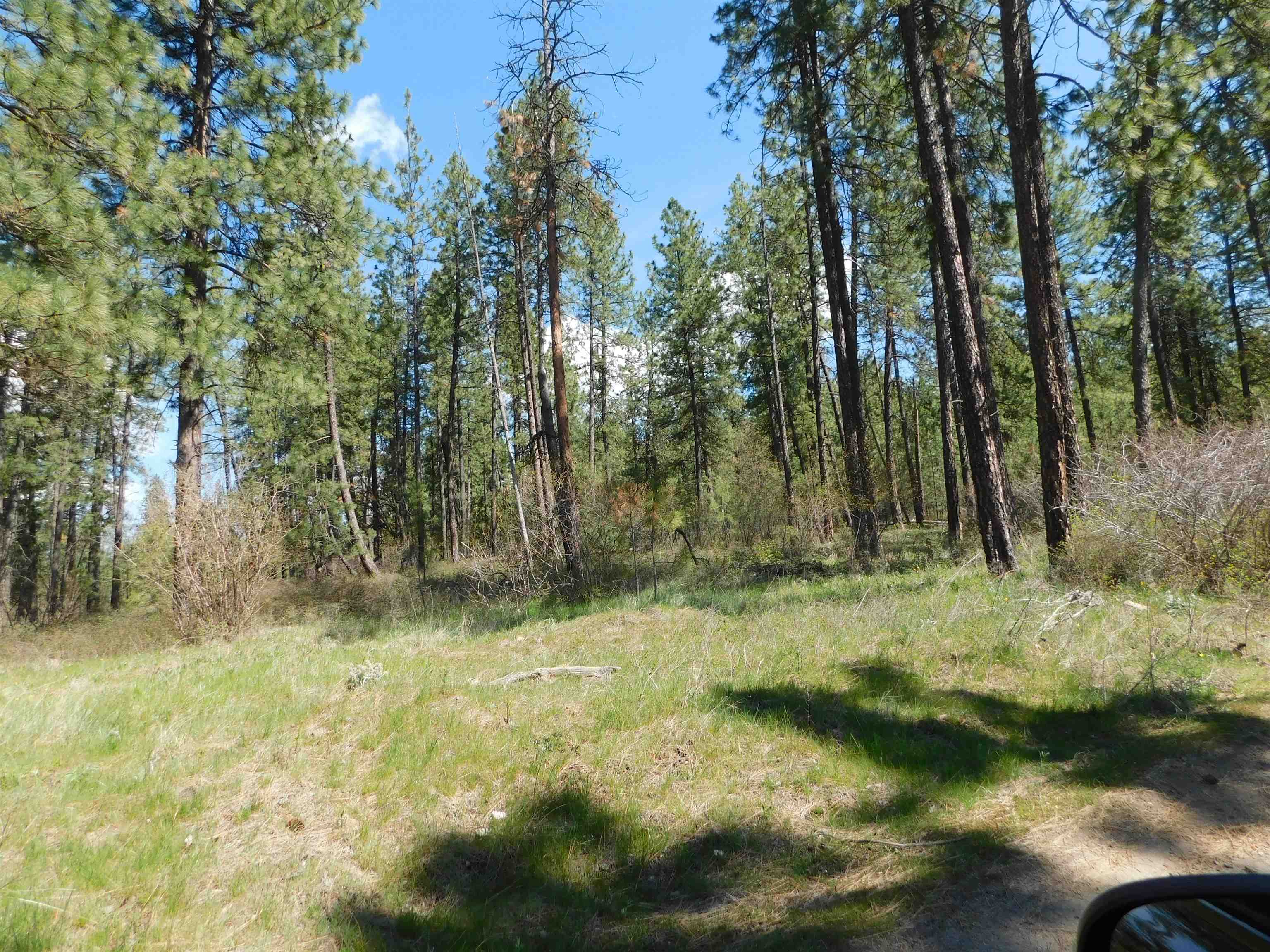 5481 South Swenson Road Deer Park, WA 99006 - Photo 3 of 14