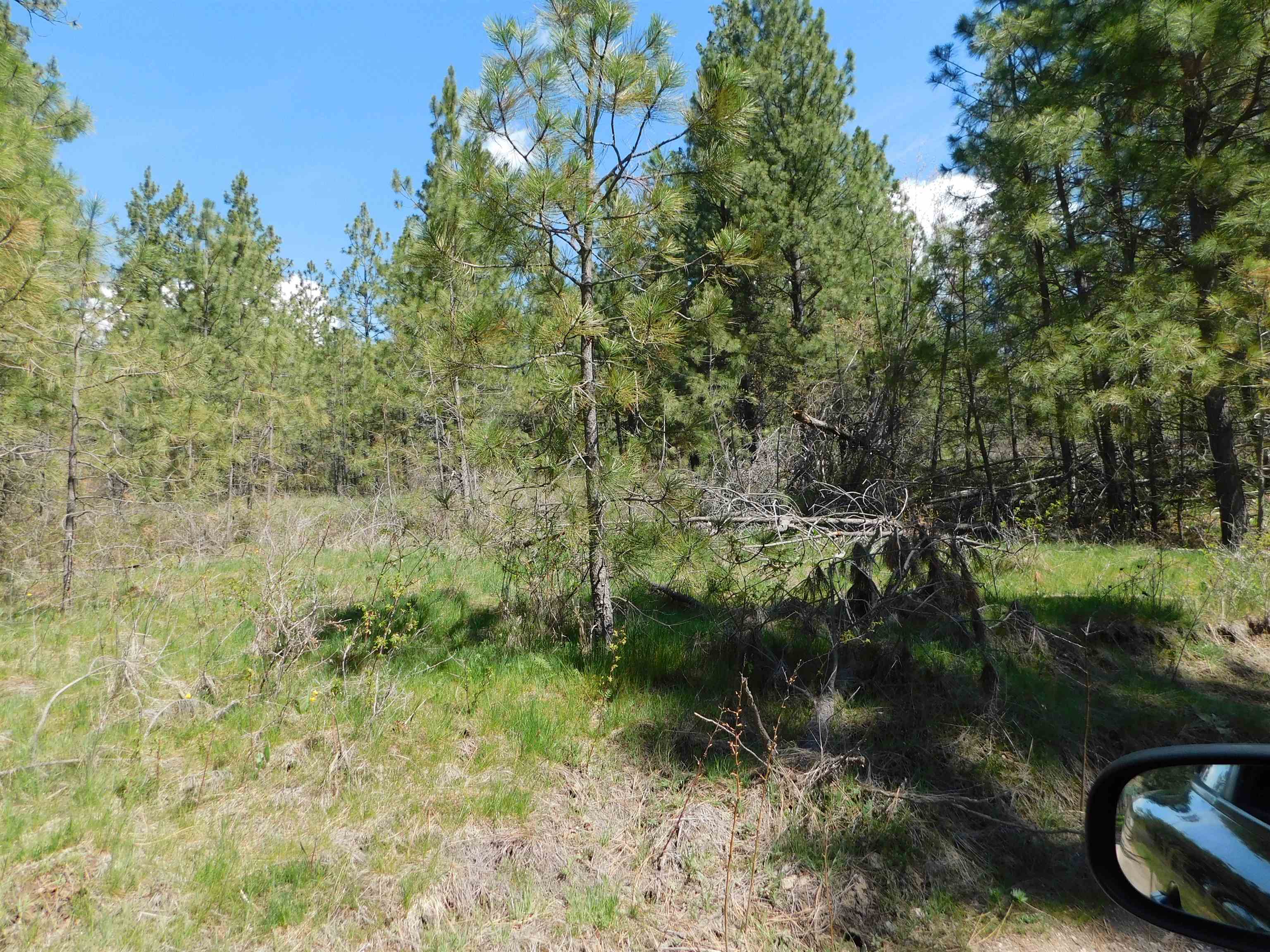 5481 South Swenson Road Deer Park, WA 99006 - Photo 4 of 14