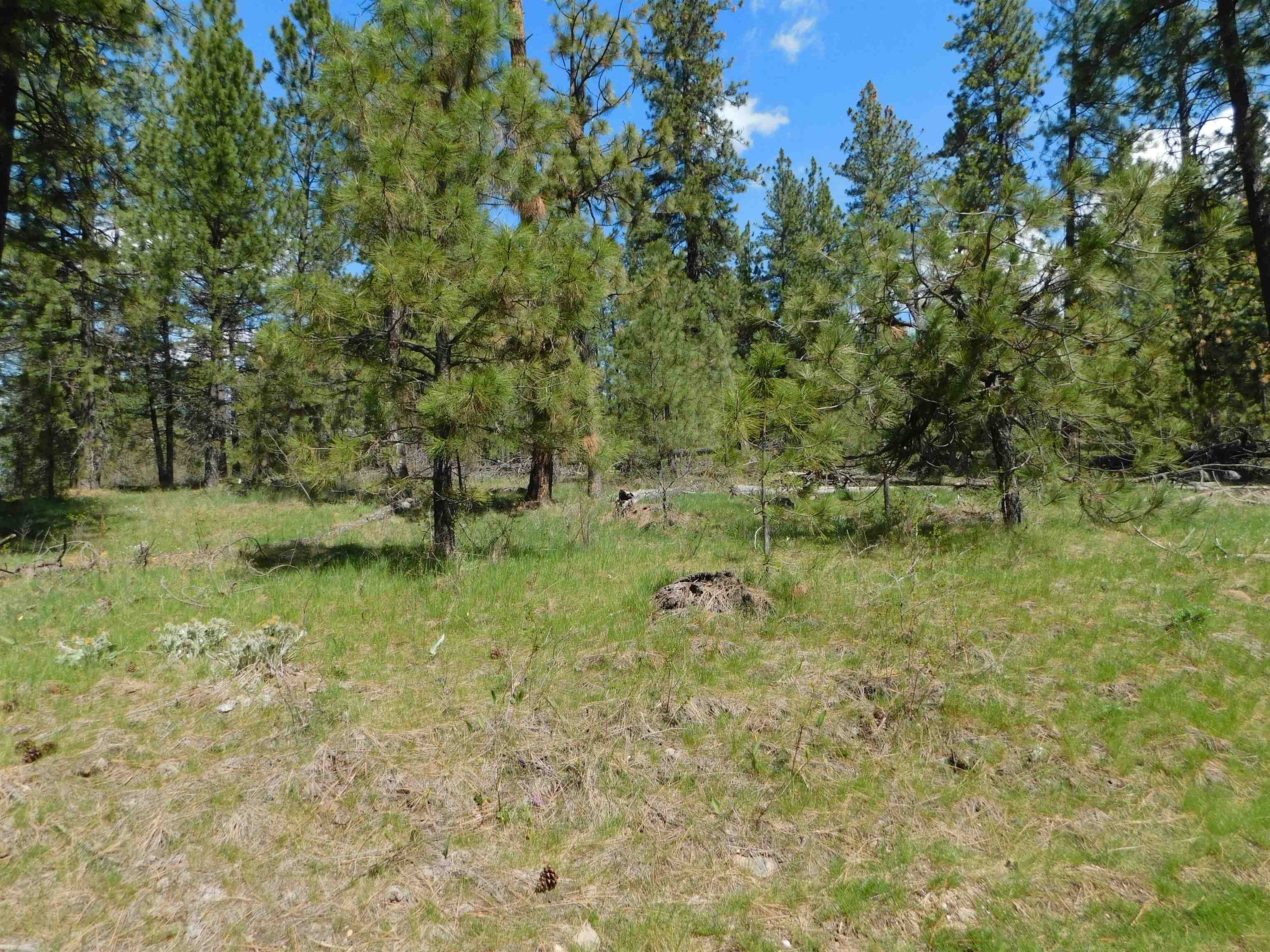 5481 South Swenson Road Deer Park, WA 99006 - Photo 5 of 14