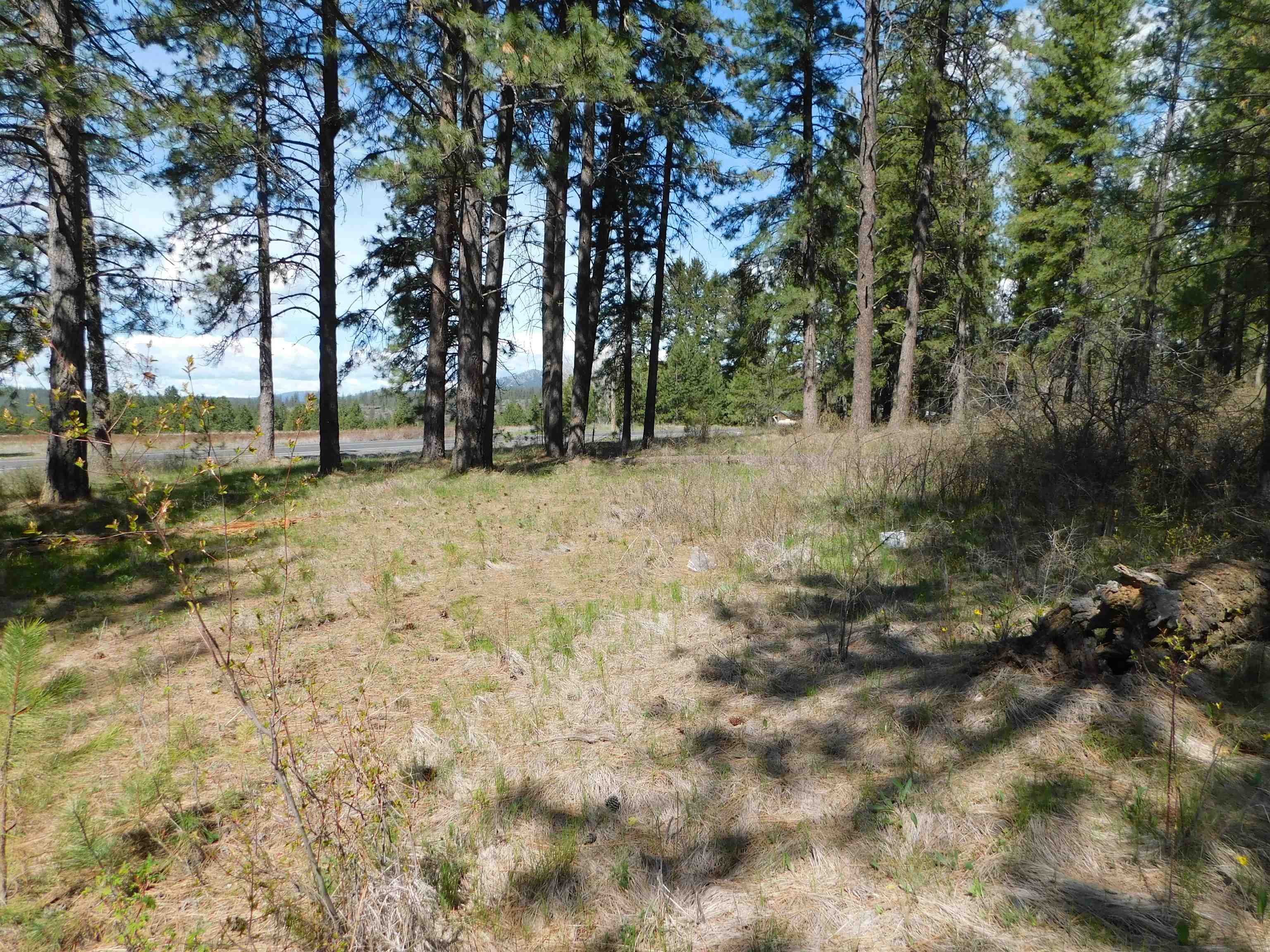 5481 South Swenson Road Deer Park, WA 99006 - Photo 6 of 14