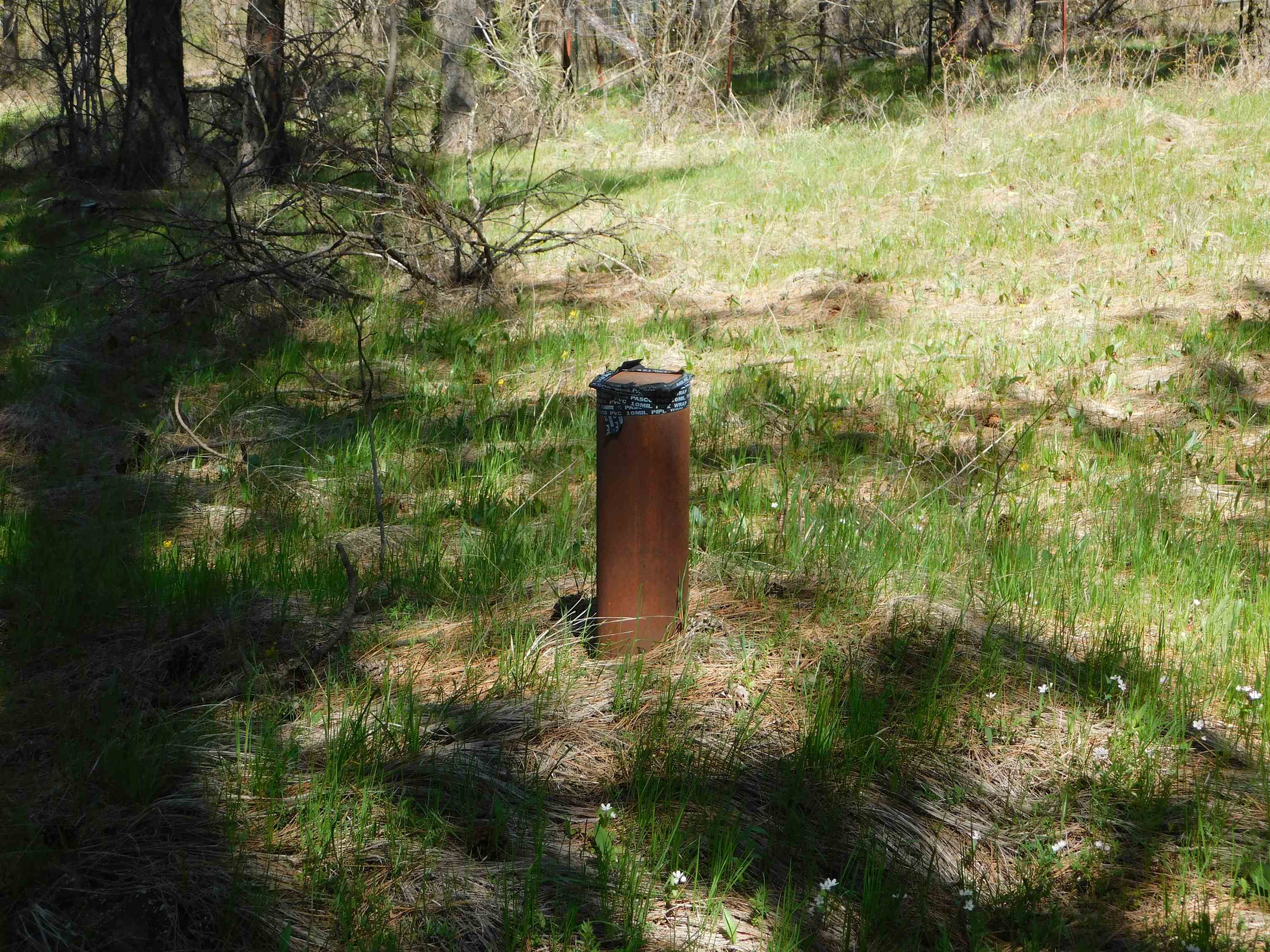 5481 South Swenson Road Deer Park, WA 99006 - Photo 8 of 14