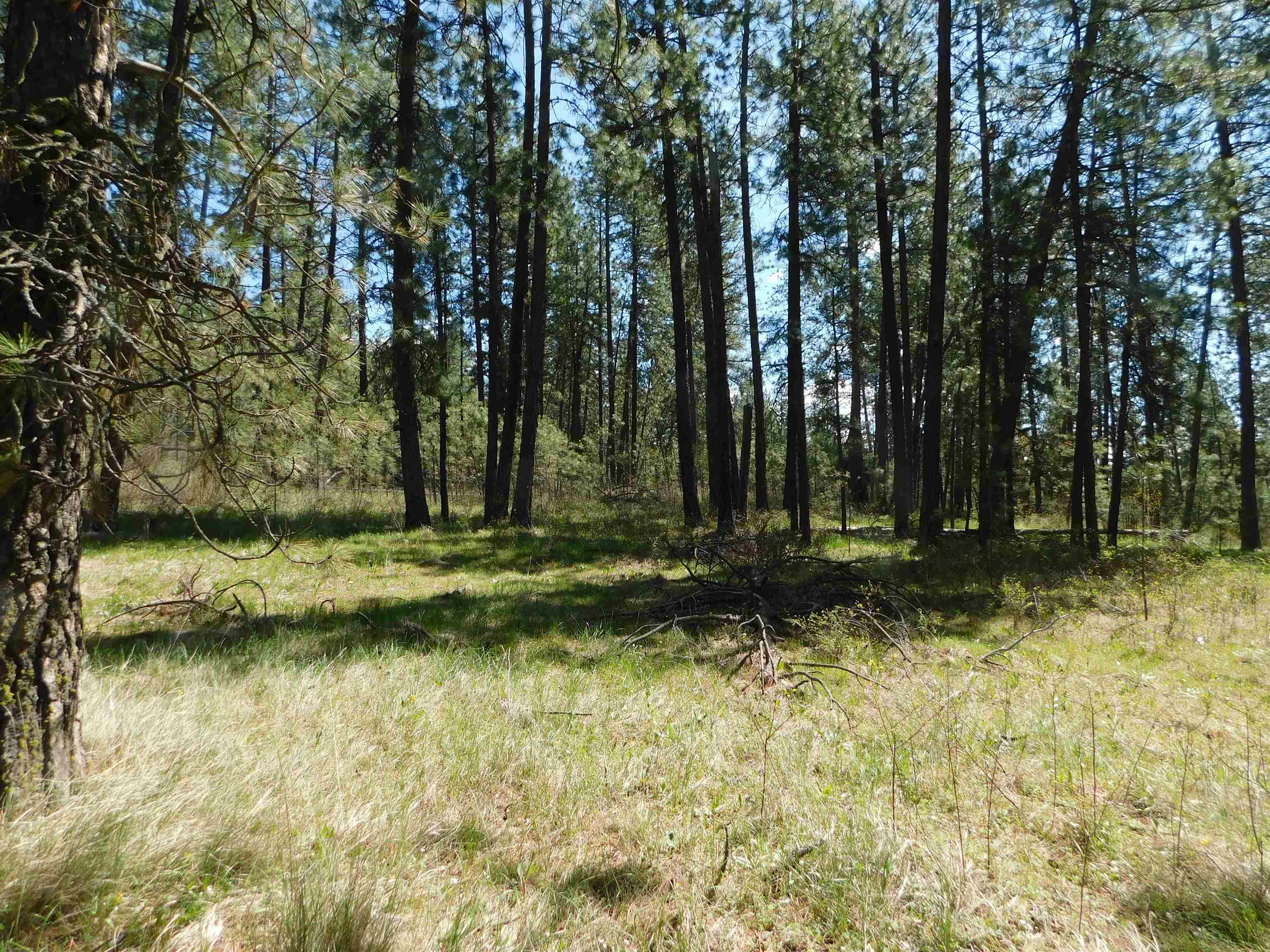 5481 South Swenson Road Deer Park, WA 99006 - Photo 9 of 14