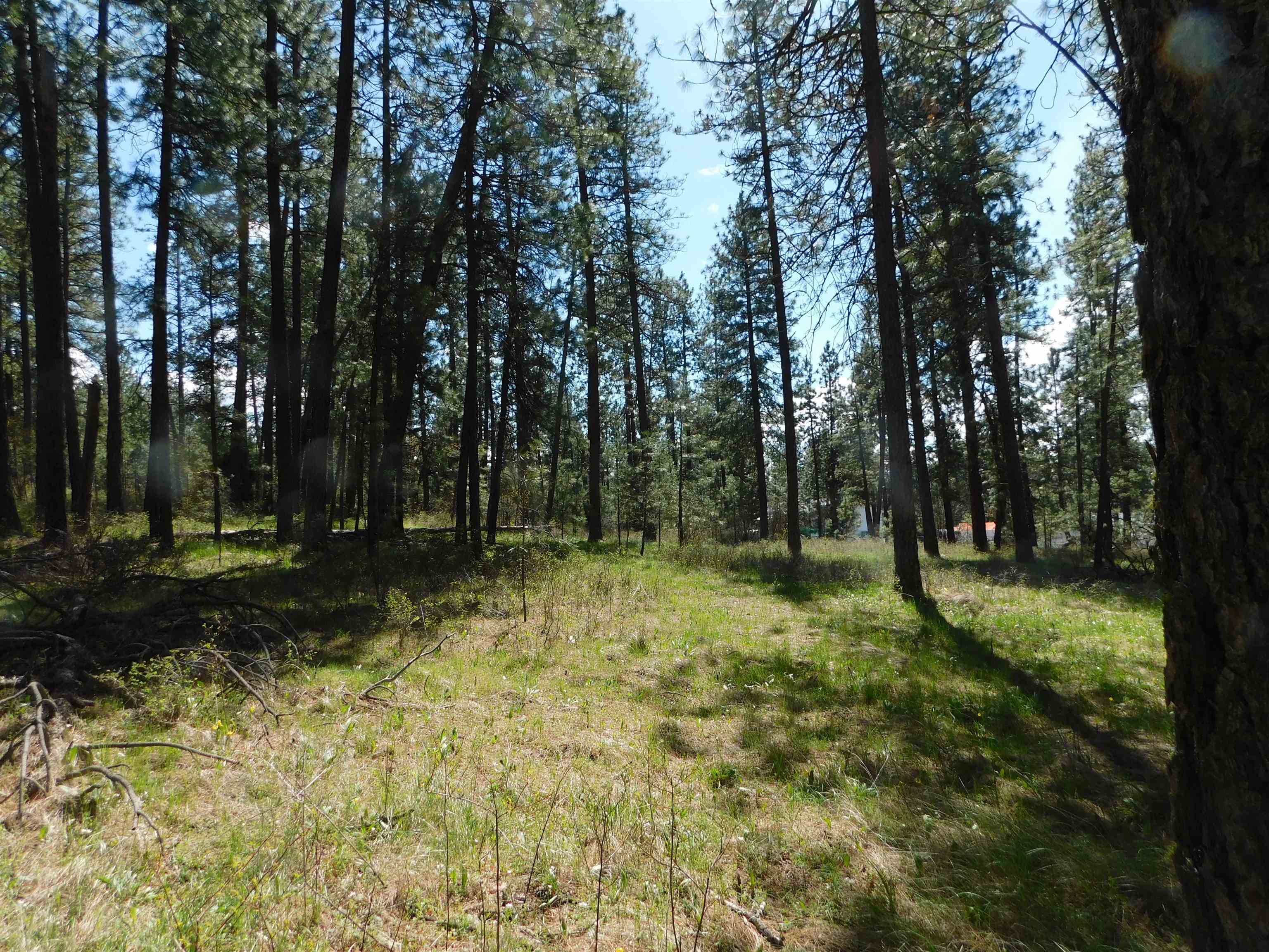 5481 South Swenson Road Deer Park, WA 99006 - Photo 10 of 14