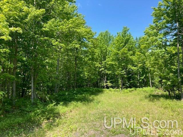 Tbd Worham Road Chassell, MI 49916 - Photo 15 of 45 Gallery Image 15