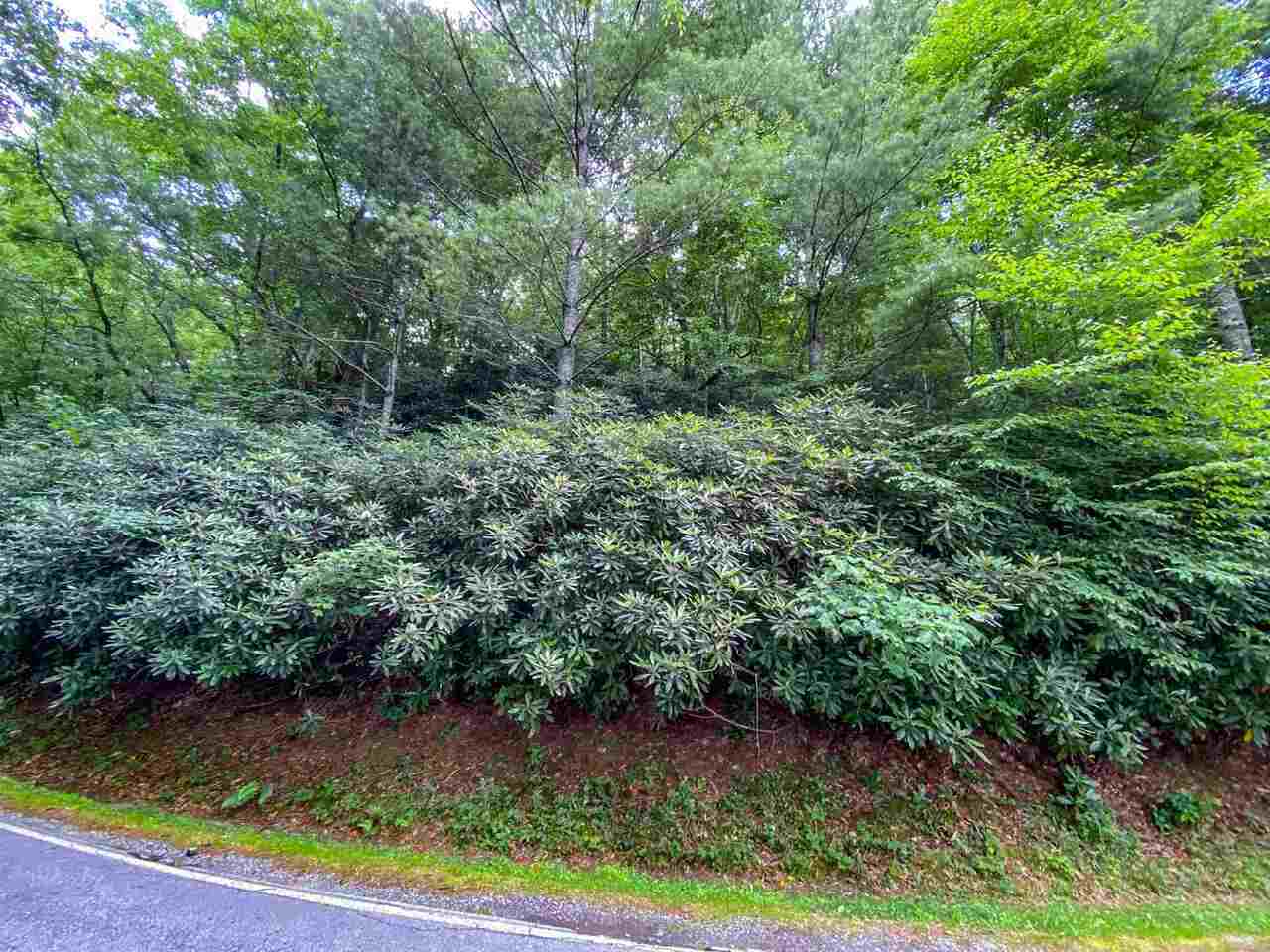 0 Ridgepole Drive, Unit 22 Sky Valley, GA 30537 - Photo 1 of 1 Gallery Image 1