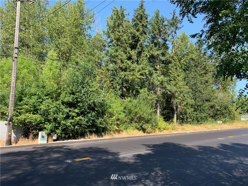 105 Golden Given Road East Tacoma, WA 98445 - Photo 7 of 7 a view of a yard with a tree