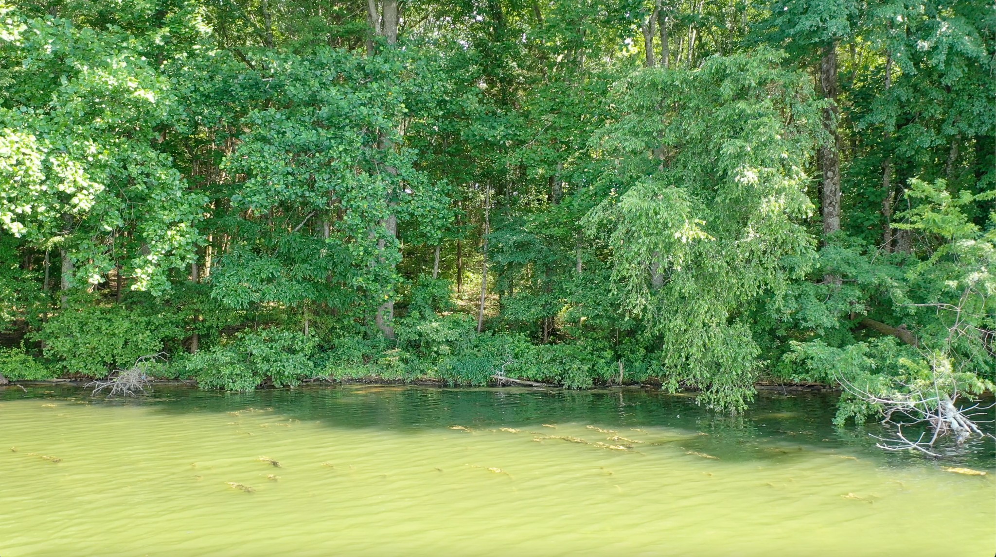 3 Monroe Floyd Road Decherd, TN 37324 - Photo 12 of 26 a view of a lake view