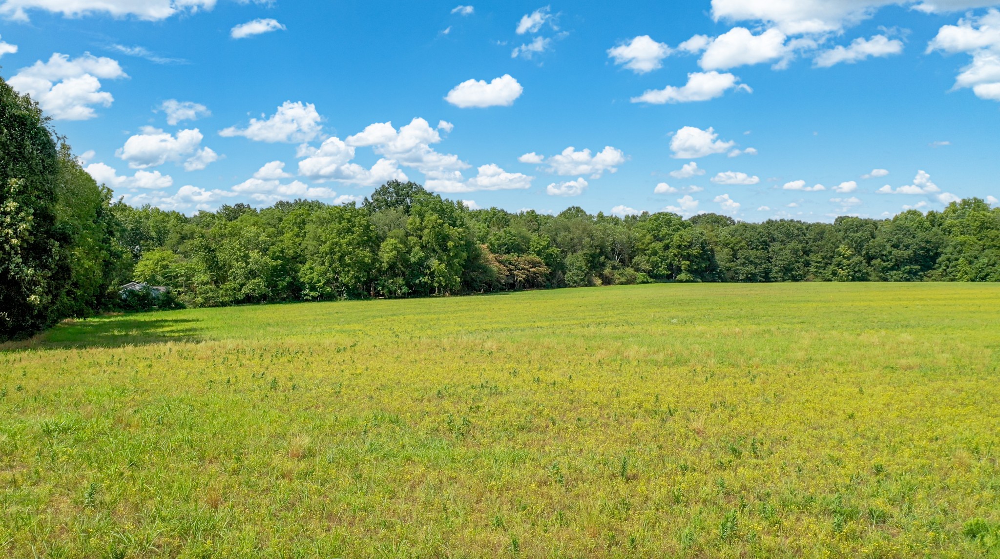 3 Monroe Floyd Road Decherd, TN 37324 - Photo 15 of 26 a view of a field with an tree