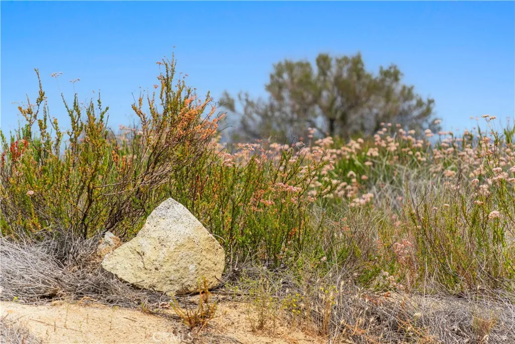 1 Gray Squirrel Road Temecula, CA 92592 - Photo 70 of 74