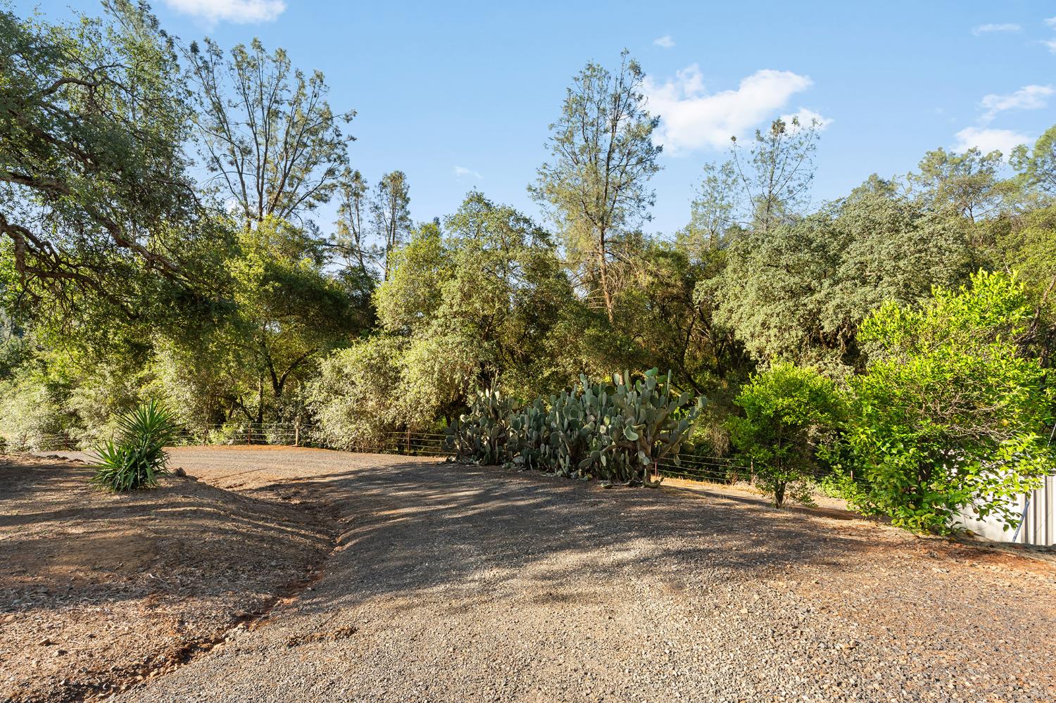 1484 Oregon Gulch Road Oroville, CA 95965 - Photo 22 of 78