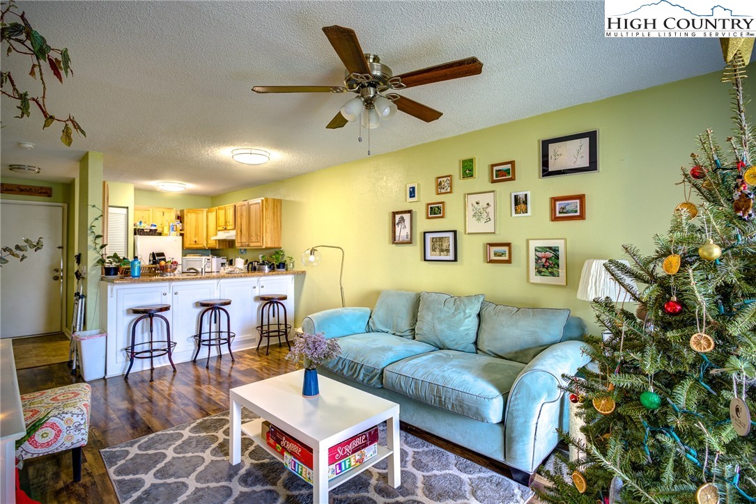 160 Zeb Street, Unit C104 Boone, NC 28607 - Photo 2 of 21 a living room with furniture kitchen view and a chandelier