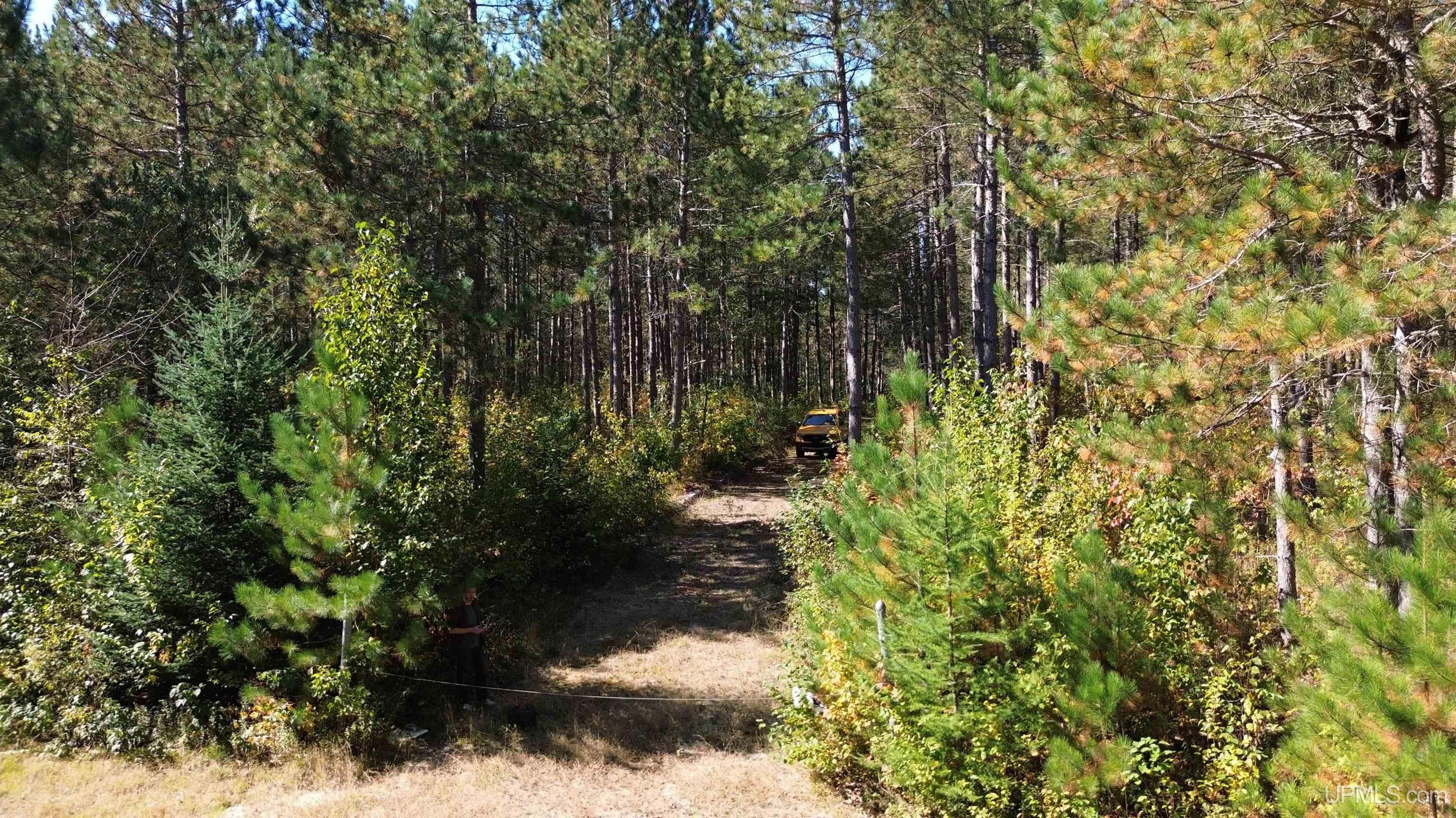 Off Usfs Trail, Unit 2440 Wetmore, MI 49895 - Photo 26 of 34