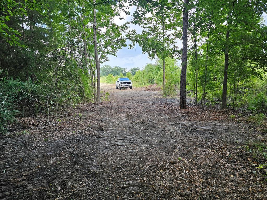 L5 New Hinson Road Slocomb, AL 36375 - Photo 19 of 23