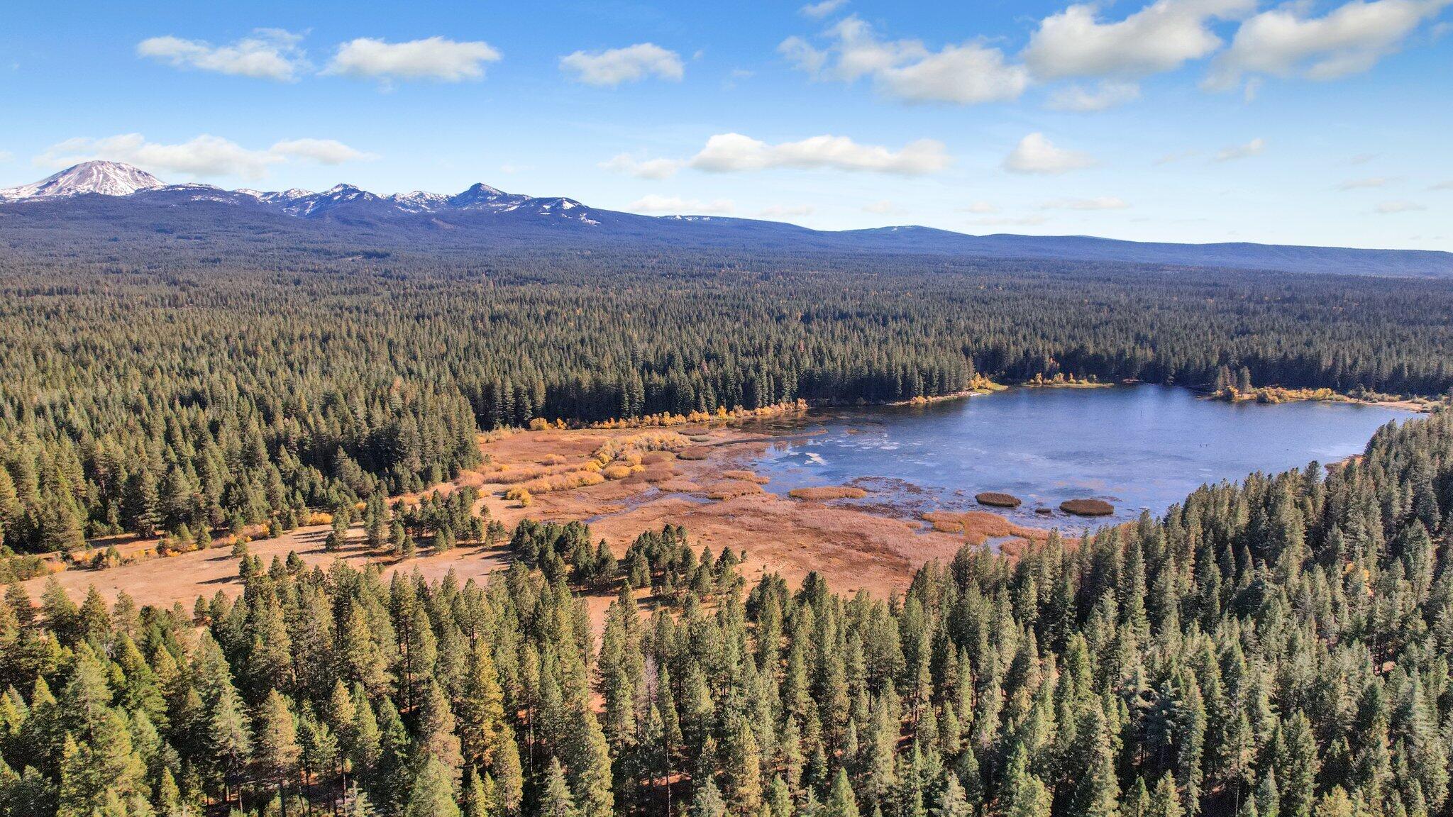 10460 Ritts Mill Road Shingletown, CA 96088 - Photo 4 of 34 Lake McCumber Nearby!