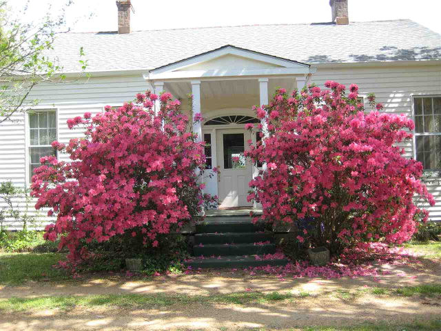 Main View