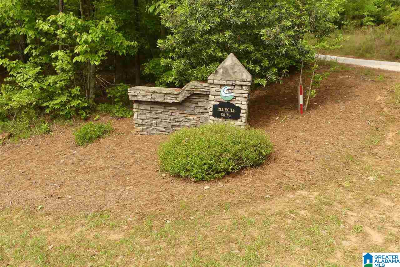 Lot 8 Bluegill Drive, Unit 8 Wedowee, AL 36278 - Photo 8 of 10