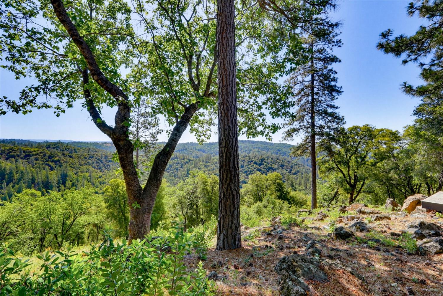20111 Tanglewood Road Grass Valley, CA 95945 - Photo 4 of 93