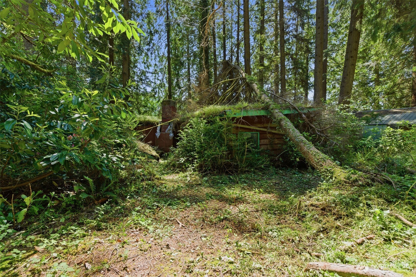 605 Southwest Lake Roesiger Road Snohomish, WA 98290 - Photo 13 of 27