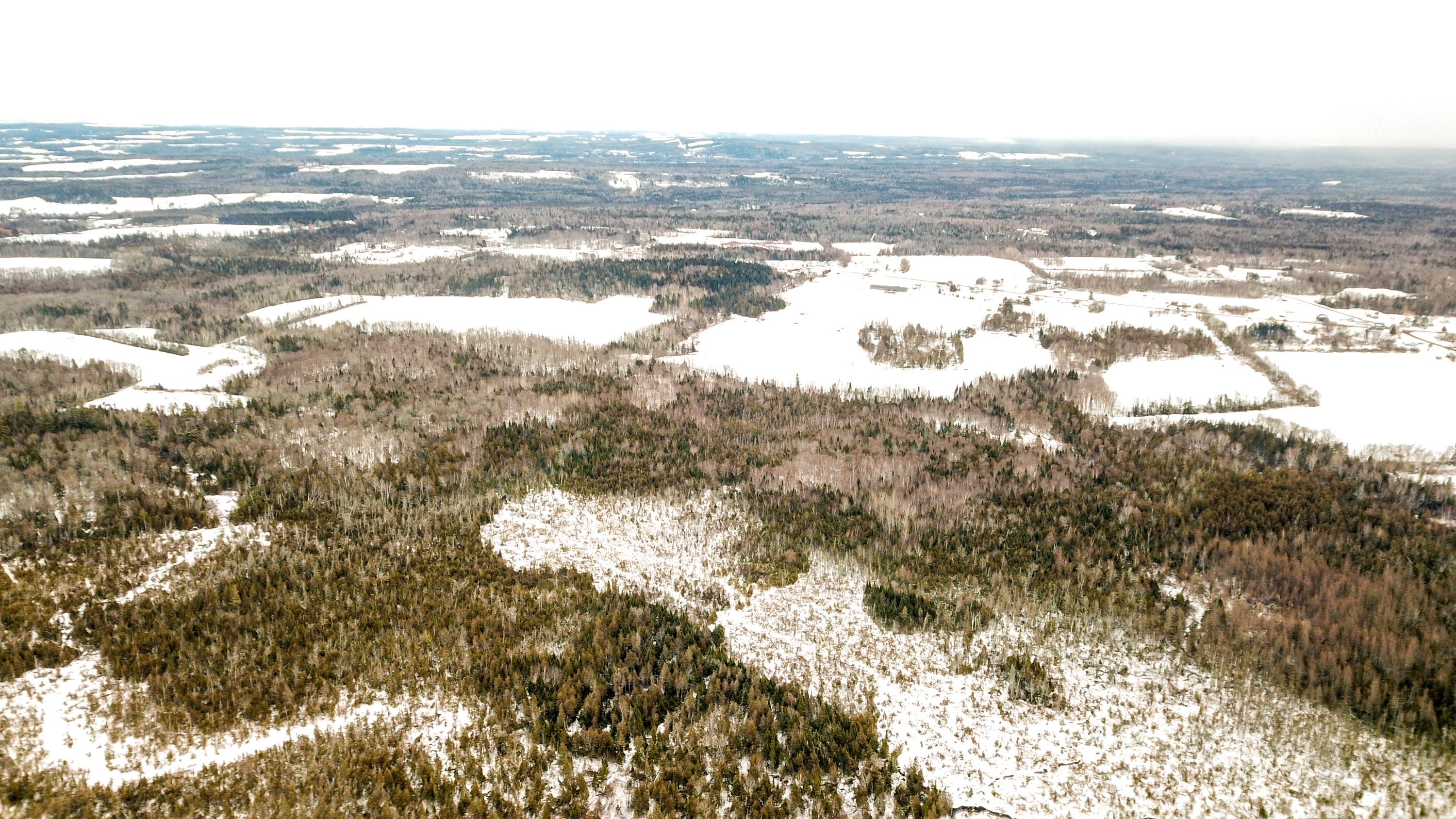 Lot 39 Off New Limerick Road Houlton, ME 04730 - Photo 6 of 24 Edited-3