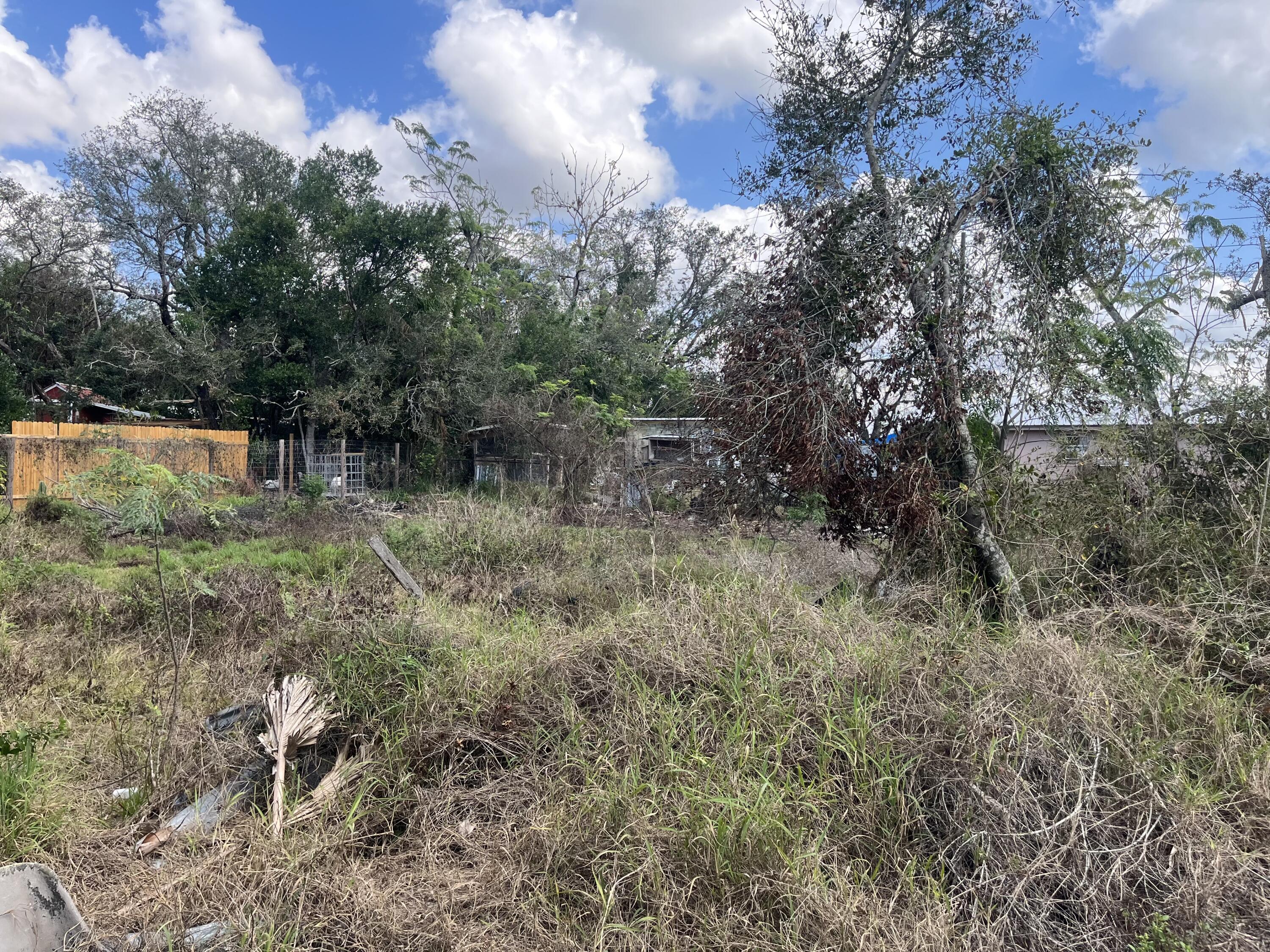 3608 Smithtown Road Sebring, FL 33876 - Photo 1 of 5 a view of a forest with trees in the background