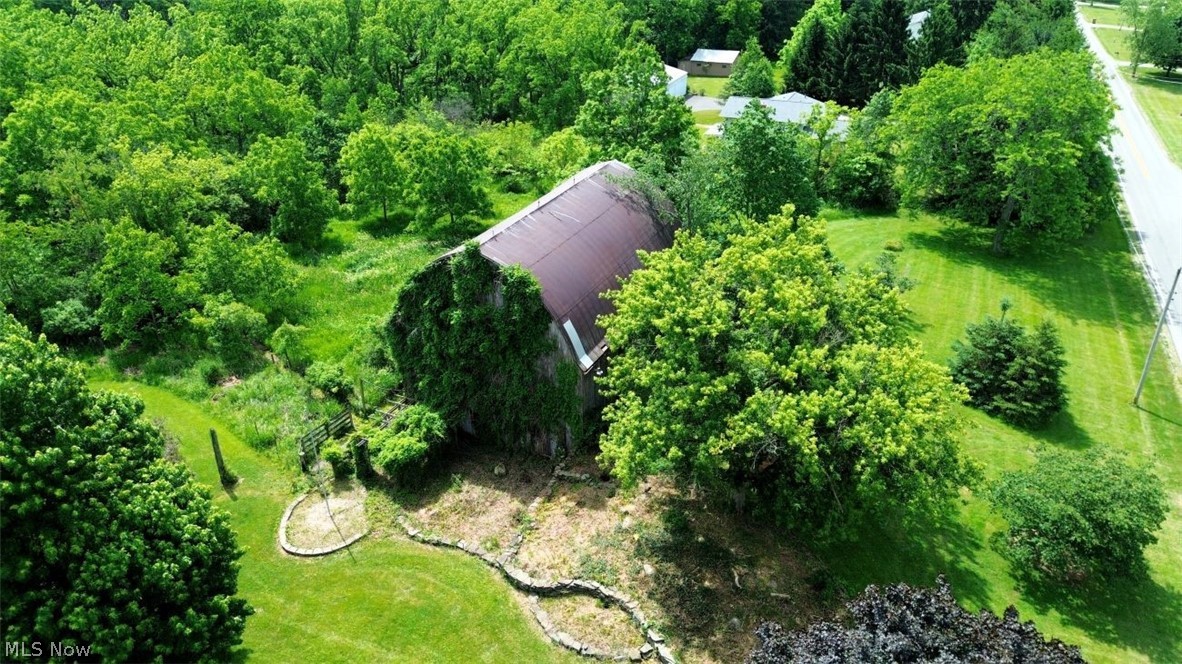 7251 Ryan Road Medina, OH 44256 - Photo 33 of 47 Historic barn structure with a metal roof and extensive natural vine growth