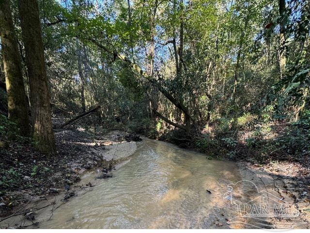 85-acres Wiley Scott Road Jay, FL 32565 - Photo 2 of 9