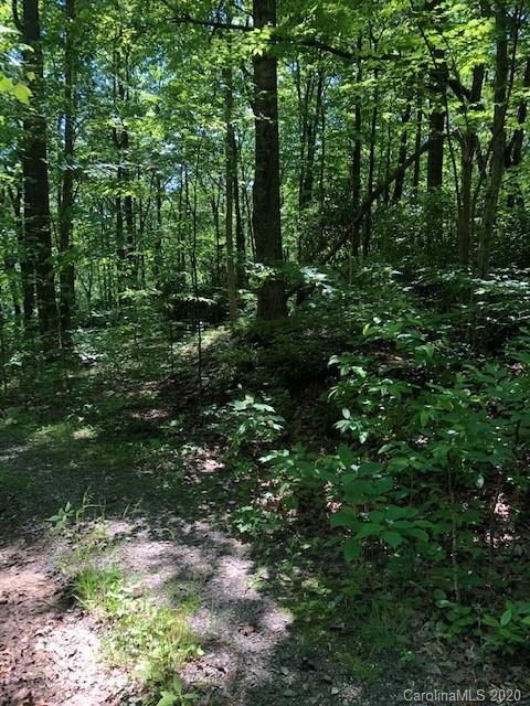 Lot 4 Lower Flat Creek Road, Unit 4B Fairview, NC 28730 - Photo 1 of 34 a view of a lush green forest